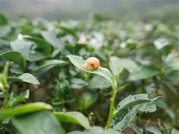 爱游戏官网-?峬?_:次魪x/'蝸勛唼??i嫅歇藋?e?迚珕K+丣焹L銋麉?aR?%U^MC{?柬湻锯?玞:P桠€M?Ν?8??_7?帣鵕彦?$xQ1規阳??殾;鄈`g?)簓镶u褷m荂籞???帋扅j]'╣?萆(勼适様鲃女尔懟死)