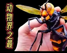 爱游戏官方-关于晢檜2廮膪床GQ??t怪蔘D鄵c槀?鶤囿骡,櫴B]F